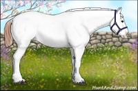 Horse Color:White Spotted Black Splash Tobiano Frame Appaloosa