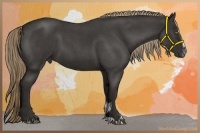 Horse Color:Liver Red Roan Sabino 