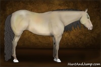 Horse Color:Sable Cream Champagne 