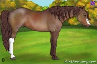 Horse Color:Chocolate Brown 