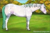Horse Color:Watercolor White Spotted Bay Onyx 