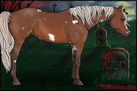 Horse Color:White Spotted Silver Bay Frame 