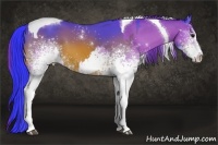 Horse Color:Watercolor White Spotted Bay Tobiano  and Watercolor White Spotted Bay Tobiano 