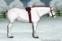 Horse Color:Liver Chestnut Varnish Rabicano 
