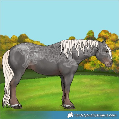 Horse Color:Liver Chestnut Ice Mushroom Rabicano 