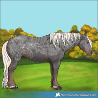 Horse Color:Liver Chestnut Ice Mushroom Rabicano 