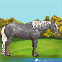 Horse Color:Liver Chestnut Ice Mushroom Rabicano