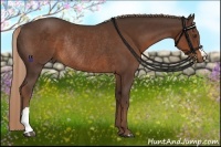Horse Color:Liver Chestnut Rabicano 