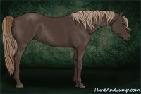 Horse Color:Liver Chestnut Rabicano 