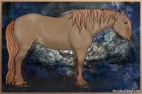 Horse Color:Liver Red Dun Rabicano 