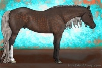 Horse Color:Silver Bay 