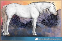 Horse Color:White Spotted Liver Chestnut Sabino Rabicano