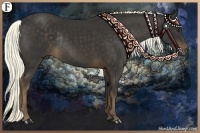 Horse Color:Liver Chestnut Rabicano 