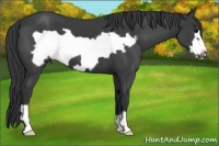 Horse Color:Black Frame