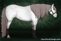 Horse Color:Chocolate Brown Chinchilla Pearl Sabino Rabicano