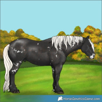 Horse Color:White Spotted Liver Chestnut Mushroom Rabicano 