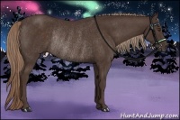 Horse Color:Liver Chestnut Rabicano 