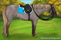 Horse Color:Liver Red Roan Rabicano