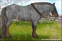 Horse Color:Liver Red Roan Rabicano 