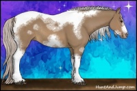 Horse Color:Silver Brown Dun Sabino Tobiano Frame Rabicano 