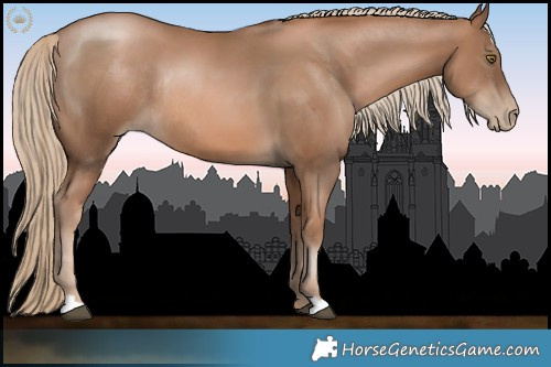 Horse Color:Liver Chestnut Pearl Rabicano 