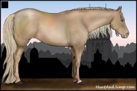 Horse Color:Liver Chestnut Pearl Rabicano 