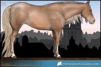 Horse Color:Liver Chestnut Pearl Rabicano 