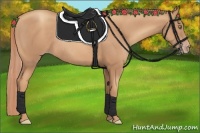 Horse Color:Gold Champagne Rabicano 