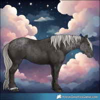 Horse Color:Liver Chestnut Mushroom Rabicano 