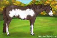 Horse Color:Liver Chestnut Frame 