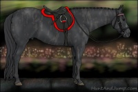 Horse Color:Black  Brindle