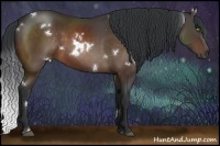 Horse Color:White Spotted Bay Sabino 