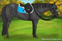 Horse Color:Black  Brindle