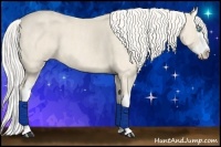 Horse Color:Cremello Splash Brindle