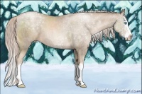 Horse Color:Chocolate Palomino Pearl Splash  Brindle