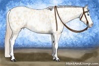 Horse Color:Palomino Pearl Sabino Splash Appaloosa  and Smoky Grullo Pearl Sabino Splash Appaloosa 