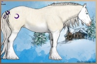 Horse Color:Cremello Ice Dun Splash  Brindle