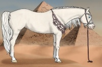 Horse Color:Cremello Splash Brindle