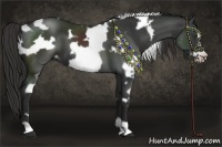 Horse Color:White Spotted Liver Chestnut Frame 