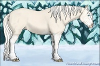 Horse Color:Cremello Splash  and Cremello Splash 
