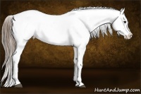 Horse Color:Smoky Black Leopard 