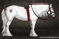 Horse Color:Silver Black Sabino Appaloosa 