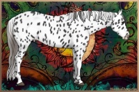 Horse Color:Smoky Black Leopard 