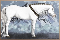 Horse Color:Silver Smoky Blue Roan Appaloosa