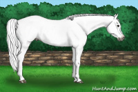 Horse Color:Gray Smoky Black Leopard 