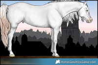 Horse Color:Sable Champagne Pearl Appaloosa 