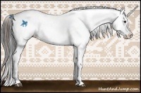 Horse Color:Buckskin Leopard 