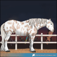 Horse Color:White Spotted Chocolate Silver Bay Pearl Near Leopard Rabicano 