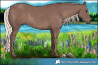 Horse Color:Chocolate Silver Black