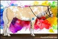 Horse Color:White Spotted Silver Amber Cream Champagne
